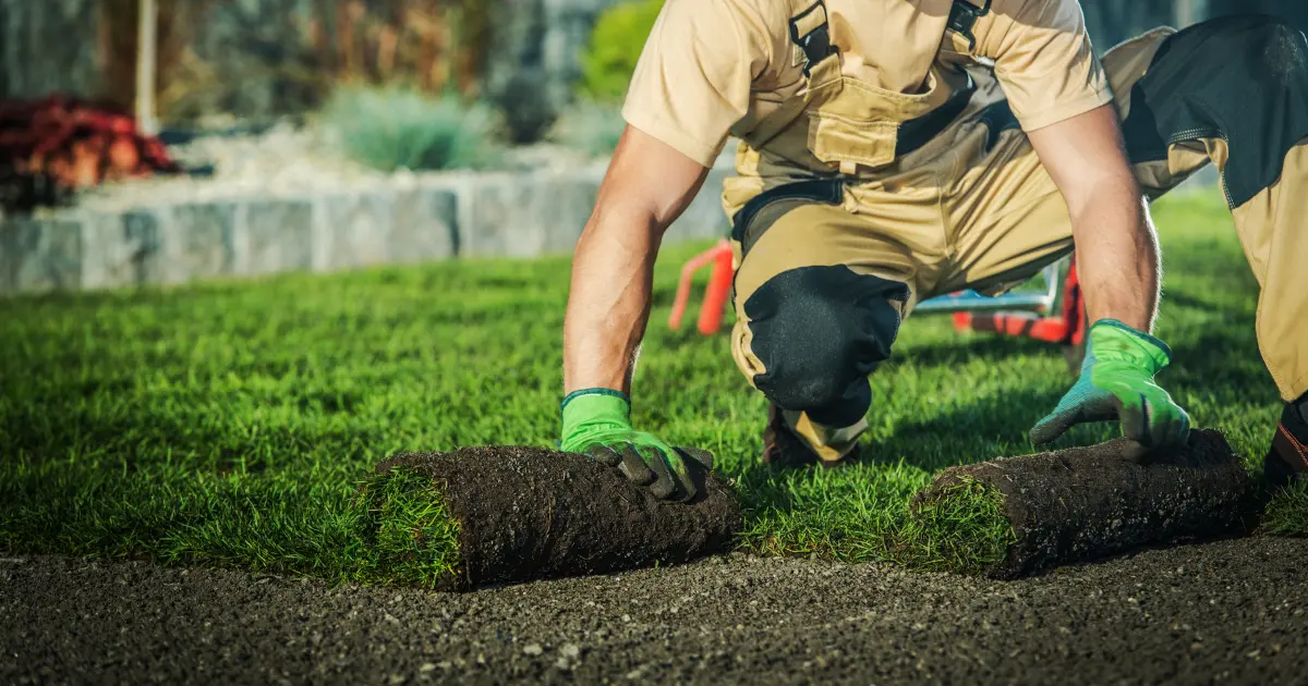 Landscaping Solutions