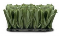 protuf-green